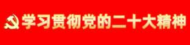党的二十大