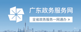 广东政务服务网