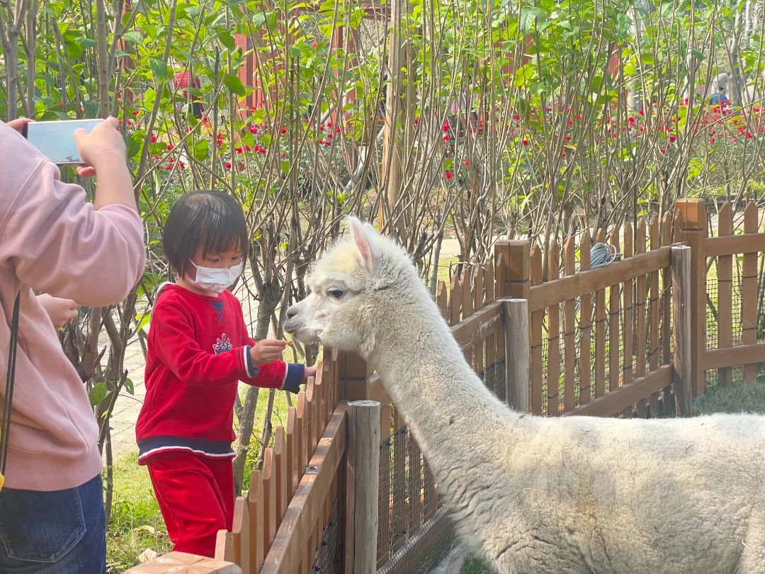 2af8de26d8908600937381893b16e9c.jpg 图片